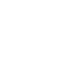 Api